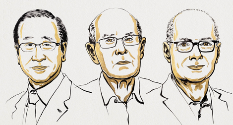 Nobel per la Chimica 2025 a Susumu Kitagawa, Richard Robson e Omar M. Yaghi per lo sviluppo di strutture in metallo